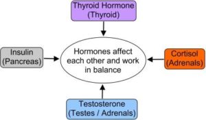 Hormones