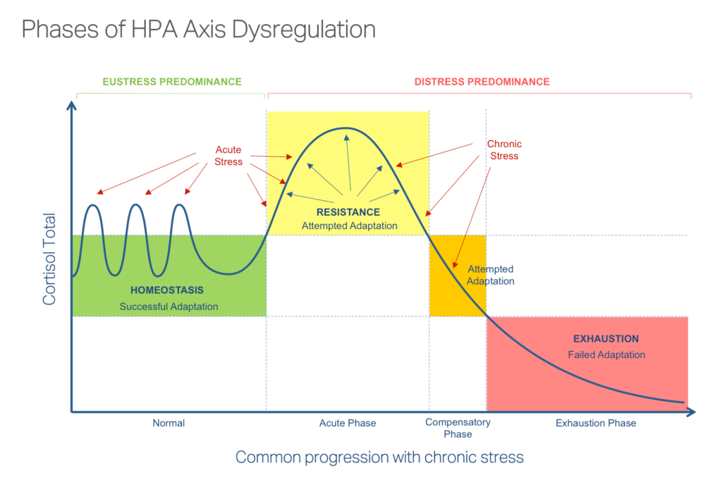 HPA axis dysregulation