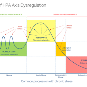 HPA axis dysregulation