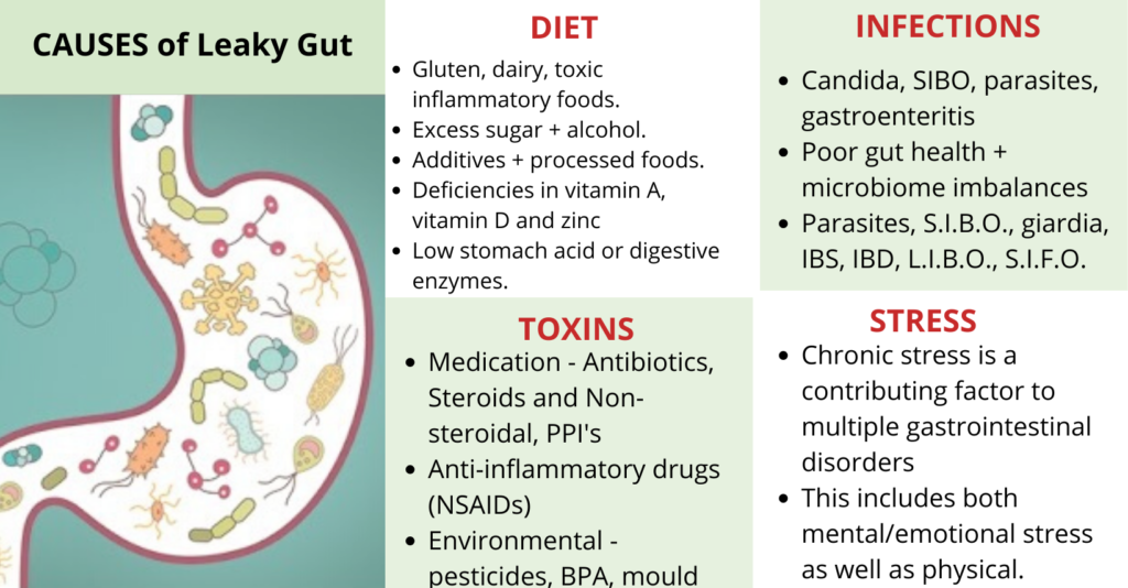 Leaky Gut Syndrome