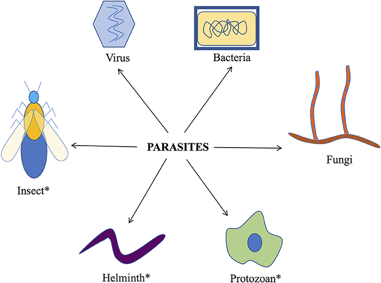 types of parasites