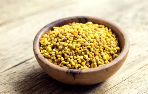 Bee Pollen Benefits